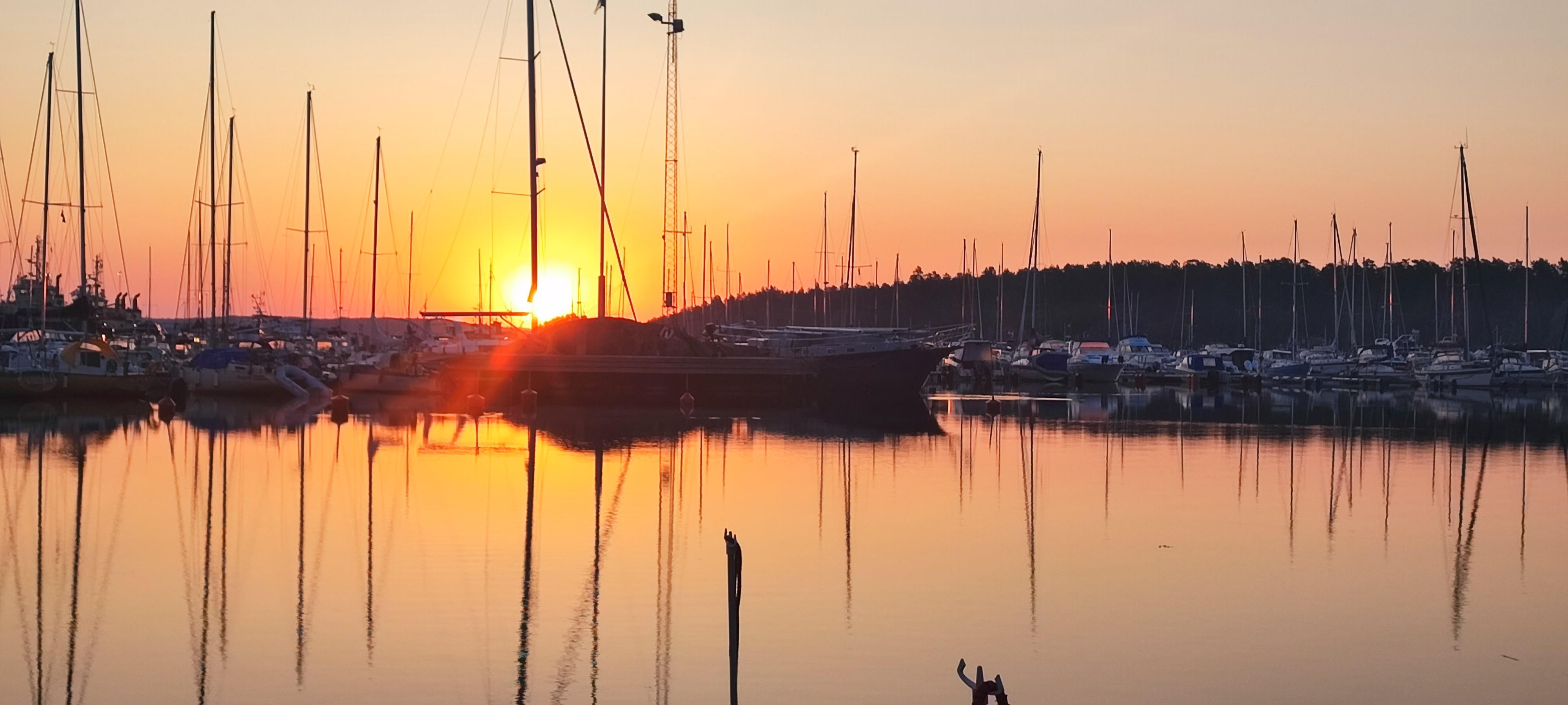 Hamnen i kvällsolen